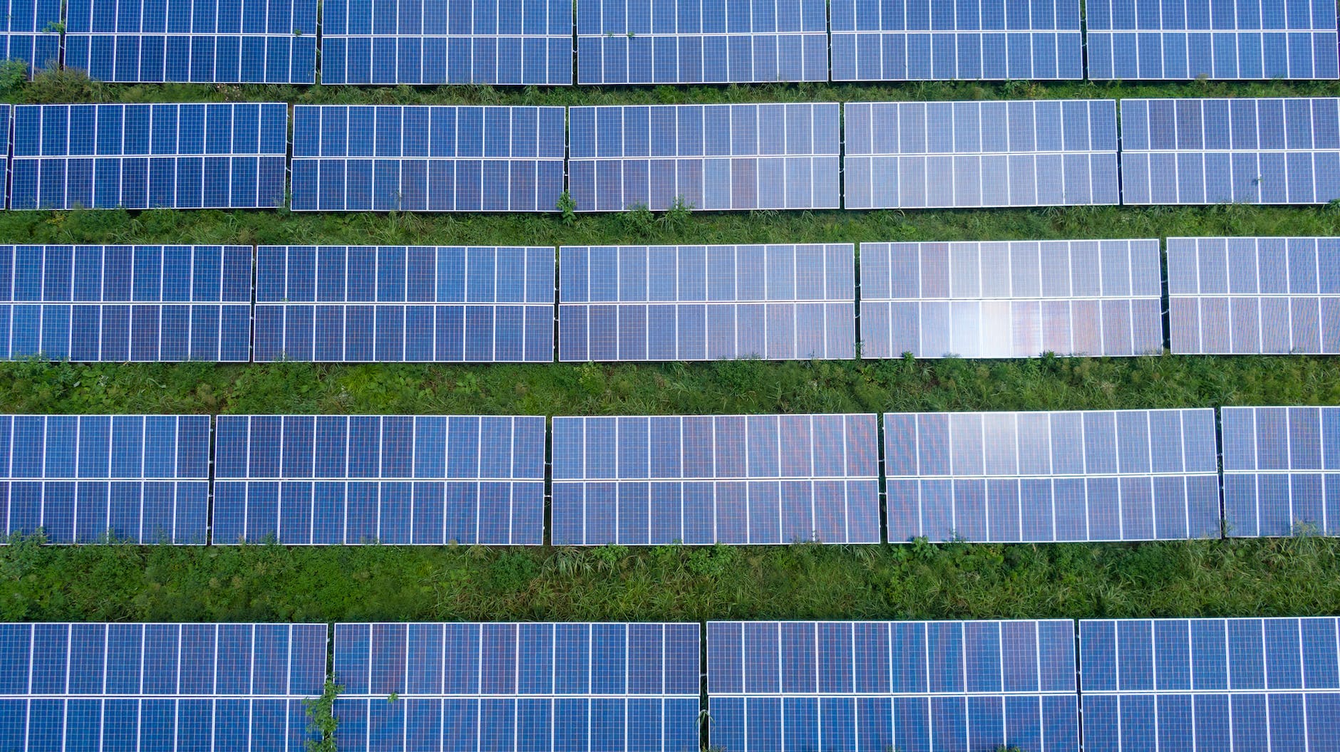 Two rows of solar panels on green grass