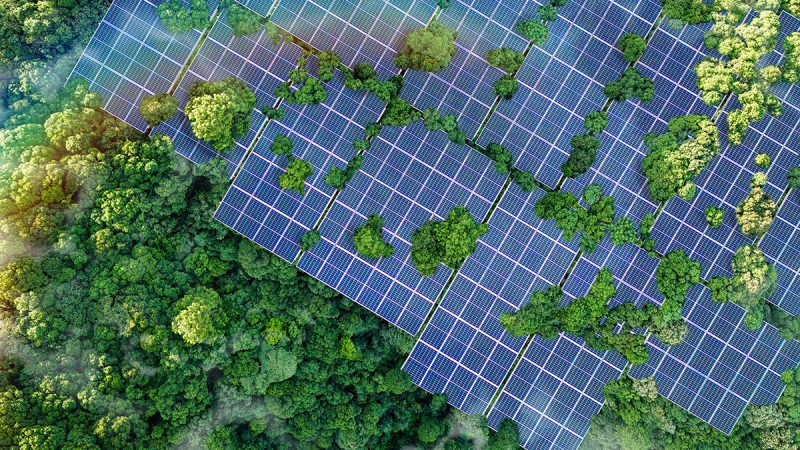 Nature_Biodiversity_Investors
